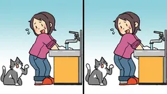 Rompicapo: trova 3 differenze nell'immagine della donna con il gatto in 19 secondi